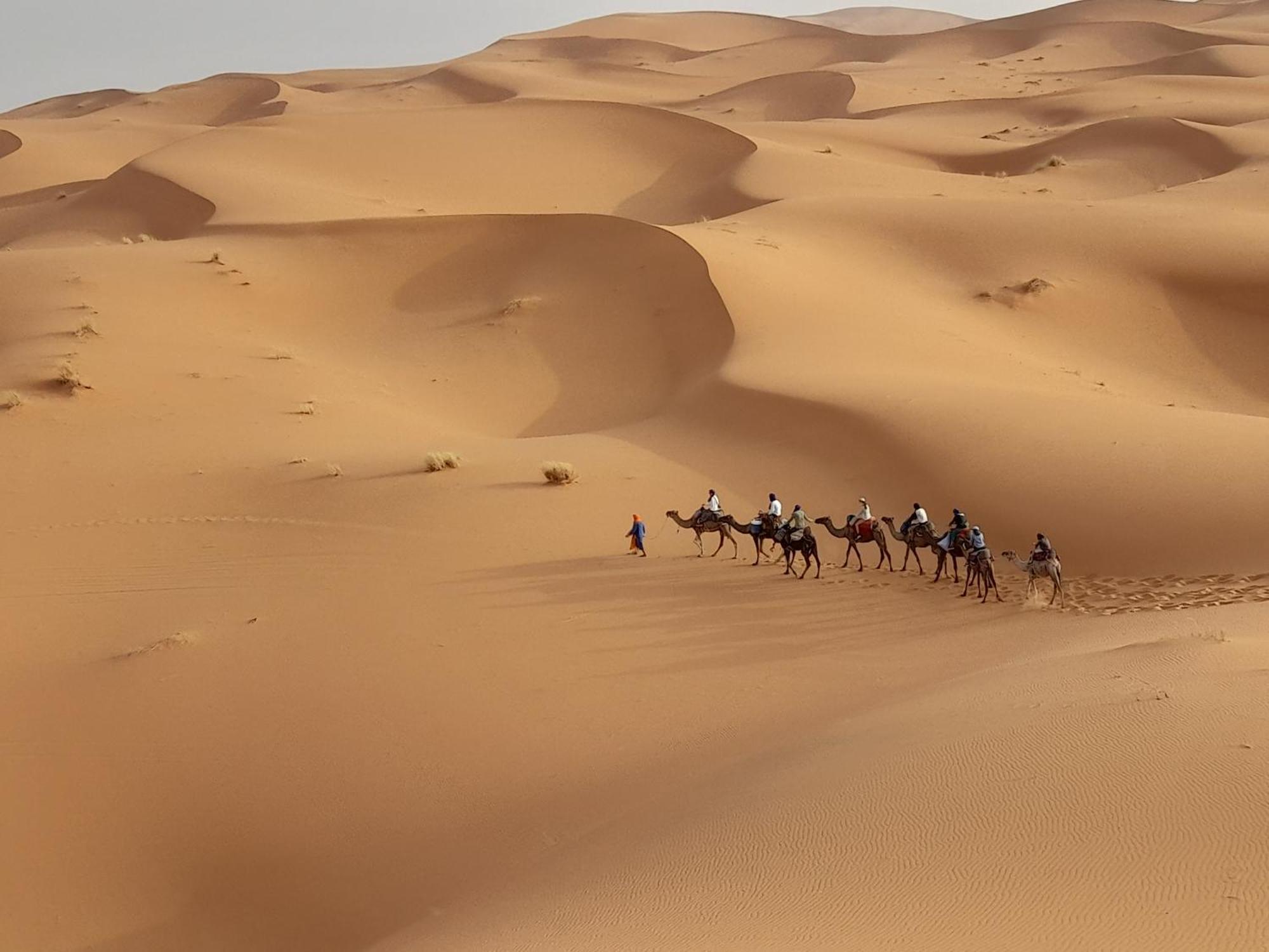 Luxury Camp Camelhouse Hotel Merzouga Buitenkant foto